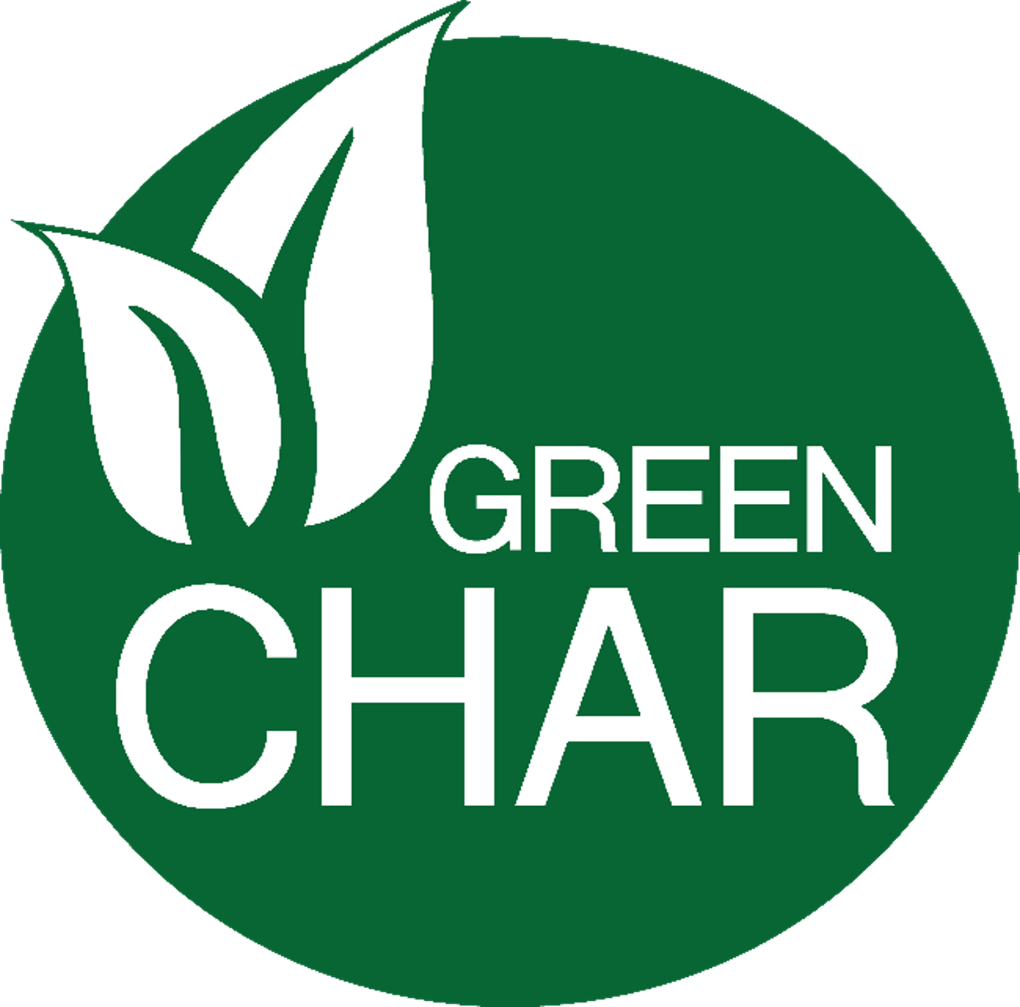 Evergreen Resources srl